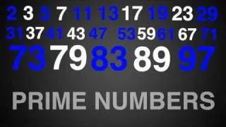 Prime Numbers Rap Song Typography (Math)