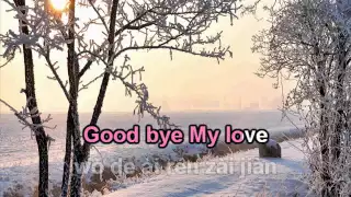 Goodbye my love   Đặng Lệ Quân karaoke beat  再见我的爱人 伴奏