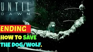 ENDING: How to Save the DOG/WOLF | UNTIL DAWN.