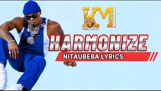Harmonize - Nitaubeba (Music video Lyrics)