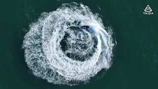 Ventura - Taiga - Orca Performance