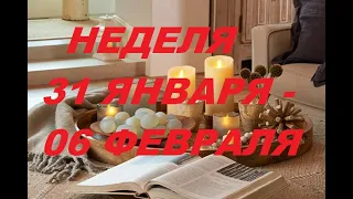 СТРЕЛЕЦ ♐. НЕДЕЛЯ 31 ЯНВАРЯ - 06 ФЕВРАЛЯ 2022. Таро прогноз.