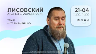 Что ты видишь? | Лисовский А.В. | 21.04.24