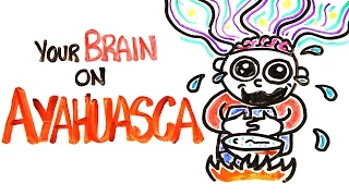 Your Brain On Ayahuasca: The Hallucinogenic Drug