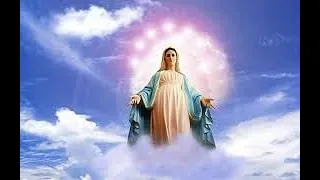 15th  August 2023 Tuesday Mass  - The Assumption of the Blessed Virgin Mary (Solemnity)