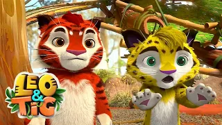 Leo and Tig 🦁 The Stone Flower - Episode 31 🐯 Funny Family Good Animated Cartoon for Kids