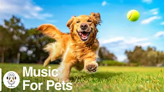Relaxing Music & Water Sounds for Dogs (3 Hours) Calm your Dog | Stop Anxiety, Make your Dog Sleep