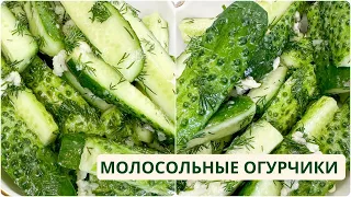 Превосходные и хрустящие МАЛОСОЛЬНЫЕ ОГУРЧИКИ