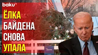 Символично упала главная ёлка США в Вашингтоне