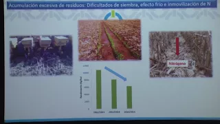 Soja en Norpatagonia ¿Por qué y cómo incluirla en los sistemas de producción? - Chacra VINPA