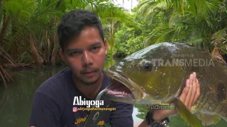 JEJAK PETUALANG - BERBURU PEMANGSA LIAR ASLI PAPUA (3/5/17) 3-2