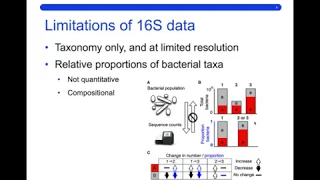 16S rRNA gene sequencing