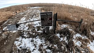 Late Season South Dakota Pheasant Hunting