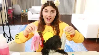 I LET MY DOGS PICK MY SLIME INGREDIENTS ~ they made better slime than me!