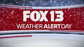 Snow falling in Seattle, around Puget Sound | FOX 13 Team Coverage