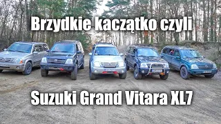 Brzydkie kaczątko czyli Suzuki Grand Vitara XL7 w terenie.