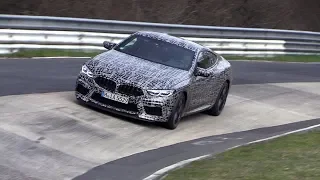 2019 BMW M8 - Exhaust SOUNDS On The Nurburgring!