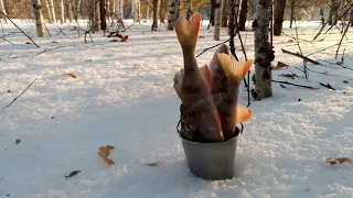 ПОЙМАЛИ ВЕДРО ОКУНЯ!!! ШИКАРНО ПОРЫБАЧИЛИ И ОТДОХНУЛИ!