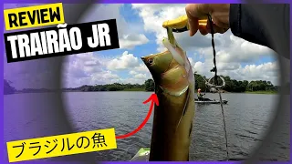 Trairão Jr 90 - Imakatsu. AULA de zara e pescaria. Arowana fishing. ブラジルの魚