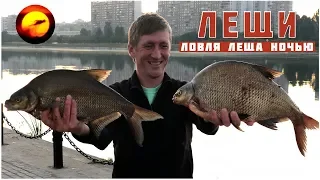 Рыбалка на леща / Ловля леща летом на реке / Ночная рыбалка на Москва реке 2018