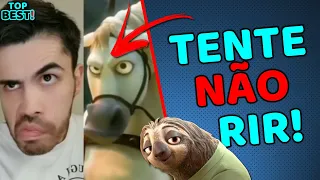 TENTE NÃO RIR #49 - Vídeos ENGRAÇADOS do WhatsApp - Melhores Memes - Comédia