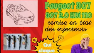 Peugeot 307 2.0 hdi 110 remises en état des injecteurs. 💉