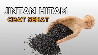 Manfaat Jintan Hitam Untuk Kesehatan | Habbatussauda