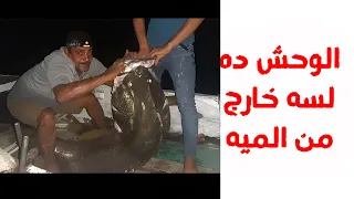 طلعنا وحش من الميه !!