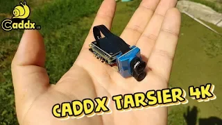 Caddx Tarsier 4K Убийца RunCam Split и Foxeer Mix? Ага...еще GoPro прикончила...