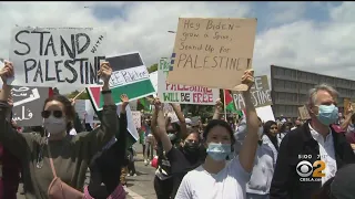 Palestinian-Israeli Protests On Wilshire