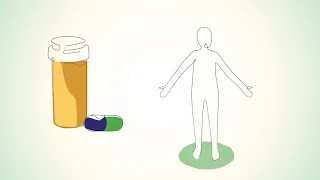 How The Body Processes Medications