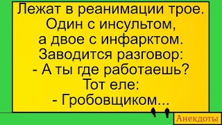 Гробовщик и контрольное захоронение... Лучшие длинные анекдоты и жизненные истории 2022