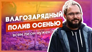 Влагозарядный полив. Узнайте, нужен ли он вам. Обработка сада осенью