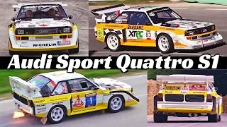Audi Sport Quattro S1 - Group B Rally Legend Tribute - 5-Cylinder Turbo Engine Sound, Flames & More!
