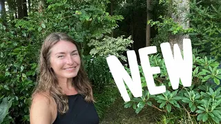 New Garden Reveal