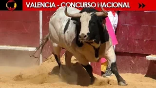 VALENCIA - XXIV CONCURSO NACIONAL DE RECORTADORES 17/03/2019