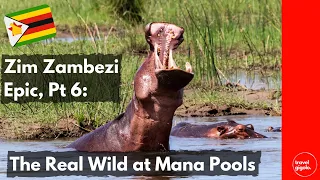 Zim Zambezi Epic, Part 6: The Real Wild, Unfenced at Mana Pools  (Overlanding in Zimbabwe)
