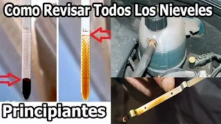 como revisar todos los niveles de aceite del carro correctamente BIEN EXPLICADO (principiantes)