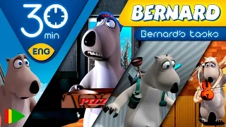 Bernard Bear | Bernard's Tasks | 30 minutes