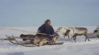 Трейлер Великий северный путь  (2019)