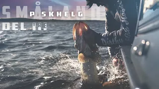 DSH - Jakten i Småland (Del 3/3) - Förleksfiske efter gädda [Eng Subs]