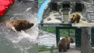 Открытие Грота и Бассейна👏.Медведь Мансур 🐻💕