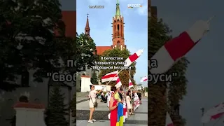✊❤️В Белостоке будет улица "Свободной Беларуси" | Беларусы против войны #shorts