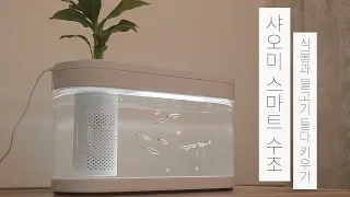 샤오미 스마트 수조 #1 | 식물과 물고기 둘다 키우기 | 아쿠아포닉스 [vlog] | Xiaomi Geometry Fish Tank | Aquaponics