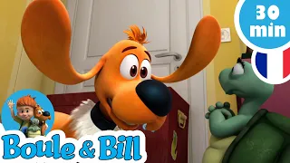 🐶Bill doit aller chez le vétérinaire👨‍⚕️ - Nouvelle Compilation Boule et Bill FR