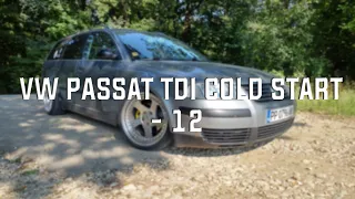 VW 1.9 TDI PD STRAIGHT PIPE COLD START -12º (AFTER 3 WEEKS)