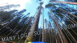 Logging in Norway ep.2