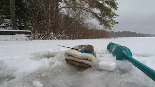 Рыбалка по первому льду 2021-2022г. Белохолуницкий пруд.
