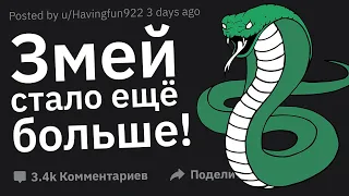 Что Было Сделано Для Безопасности, Но Привело к Ещё Большей Опасности?