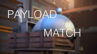 [SFM] Payload Match